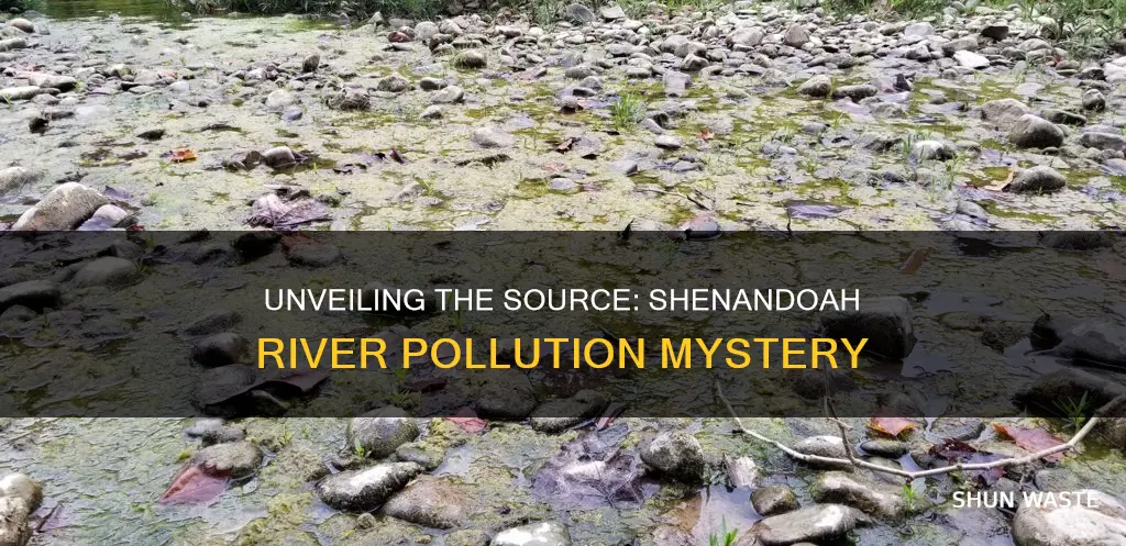 what was the cause of the shenandoah river pollution