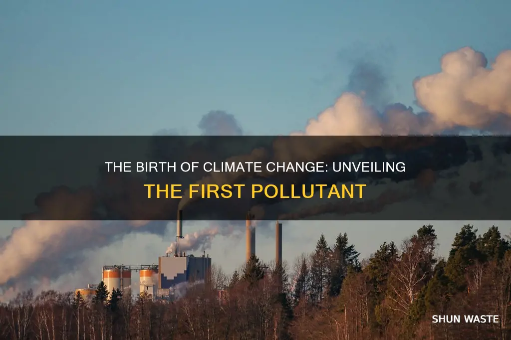 what was the first major pollutant that caused climate change