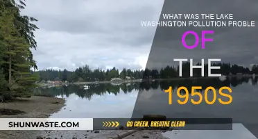 Lake Washington's Pollution Crisis: 1950s Seattle's Dark Legacy