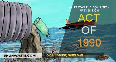 Understanding the Pollution Prevention Act of 1990: A Historical Perspective
