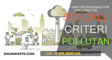 Why Criteria Pollutants Were Chosen: Key Reasons