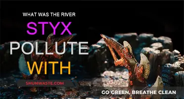 Styx River Pollution: Toxic Metals and Industrial Waste