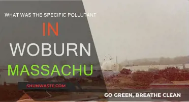 Woburn's Water Woes: TCE Pollution Crisis