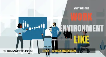 Exploring the Dynamics of a Typical Work Environment: Insights and Experiences