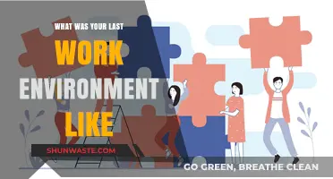 Reflecting on My Last Work Environment: Culture, Challenges, and Growth