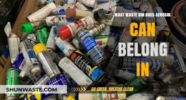 Decoding Recycling: The Right Bin for Aerosol Cans
