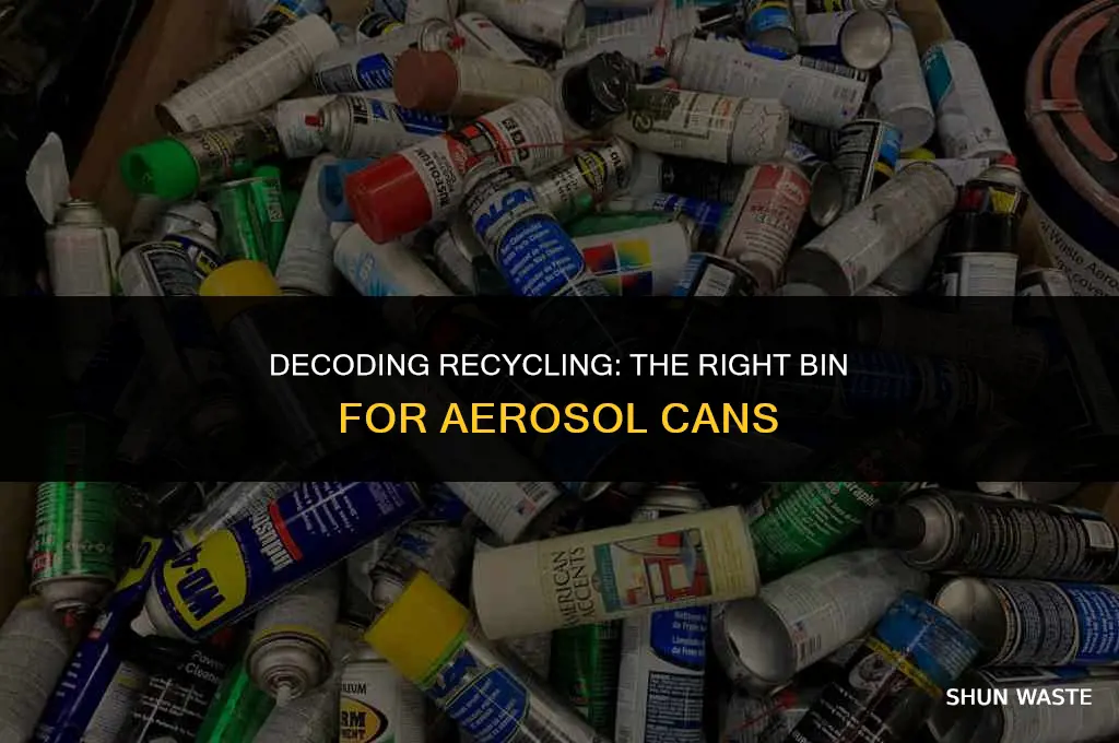 what waste bin does aerosol can belong in