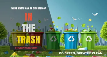 Eco-Friendly Disposal: A Guide to Trash-Friendly Waste