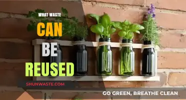 From Trash to Treasure: Exploring the Potential of Reusable Waste