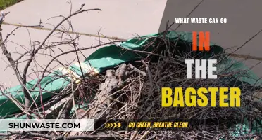 Maximize Your Cleanup: A Guide to Bagster-Approved Waste