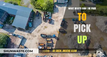 Lucrative Junk Removal: Transforming Trash into Treasure