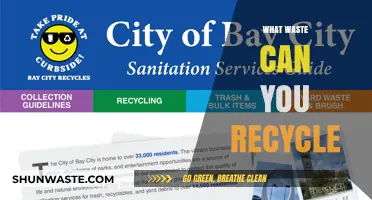 Eco-Friendly Guide: Understanding Recyclable Waste for a Sustainable Future
