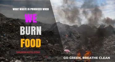 The Hidden Costs of Burning Food: A Wasteful Reality