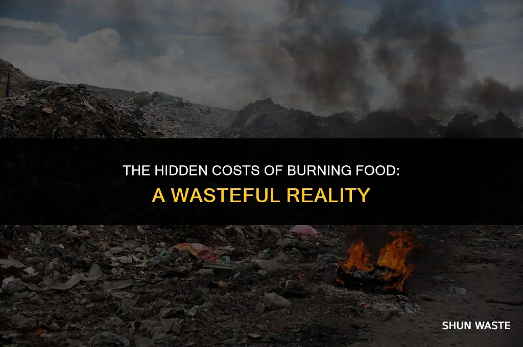 what waste is produced when we burn food
