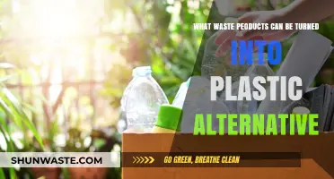 Eco-Friendly Alternatives: Transforming Waste into Sustainable Plastics