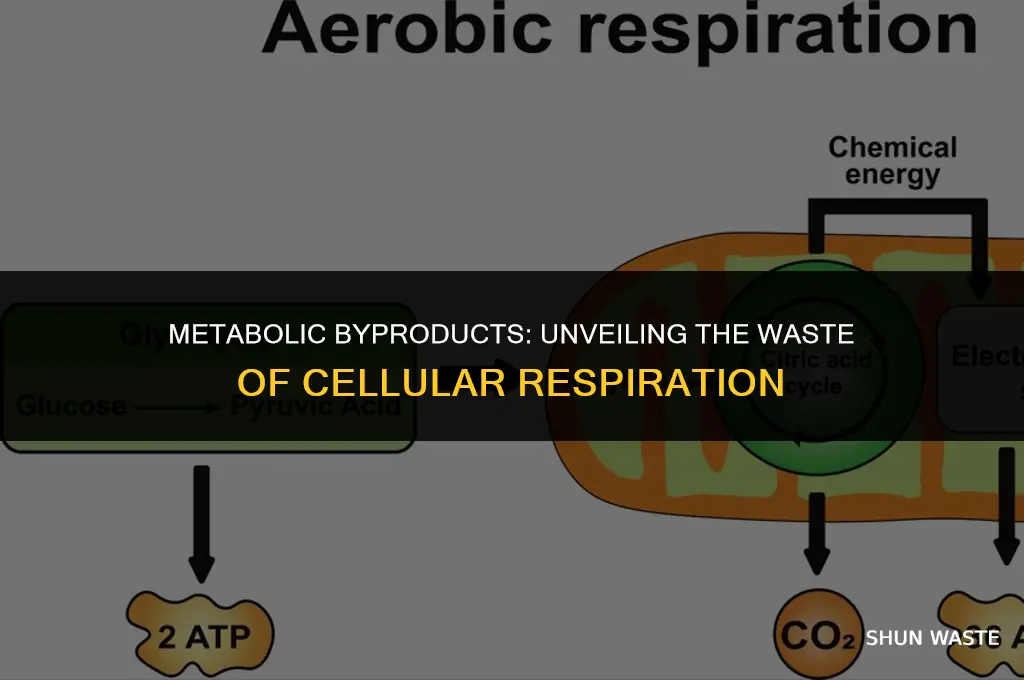 what waste products are produced when cells burn food