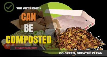 Eco-Friendly Disposal: A Guide to Compostable Waste Products
