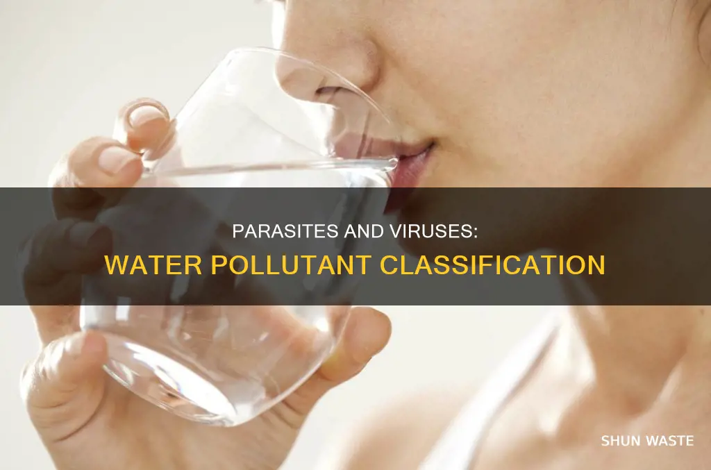 what water pollutant category would parasites and viruses fall into