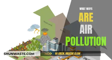Air Pollution: Understanding the Different Types and Sources