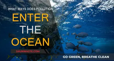 Ocean Pollution: Many Ways, One Fight