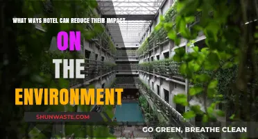 Eco-Friendly Hospitality: How Hotels Can Minimize Environmental Footprint