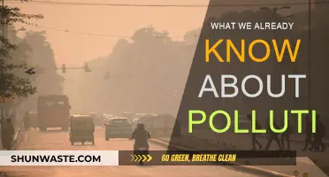 The Pollution We Know