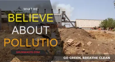 Our Beliefs: Pollution's Impact and Our Future
