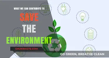Sustainable Actions: How We Can All Contribute to Saving Our Planet
