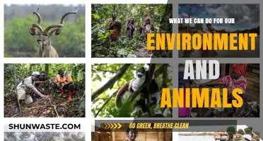 Sustainable Actions to Protect Our Environment and Wildlife Today