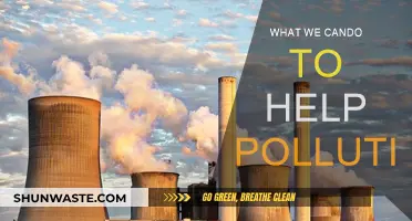 Reducing Pollution: Steps to Take Action