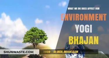 Yogi Bhajan's Wisdom: How Our Actions Shape the Environment