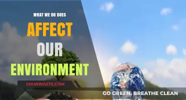 Our Actions Shape the Environment: Understanding Our Impact and Responsibility
