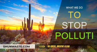 Curbing Pollution: Our Collective Action Plan