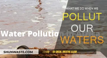 Human Impact: Polluting Our Watersheds