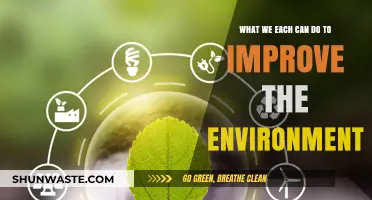 Sustainable Steps: Simple Actions for a Greener, Healthier Planet