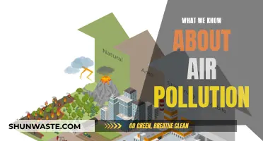 Air Pollution: What We Know So Far