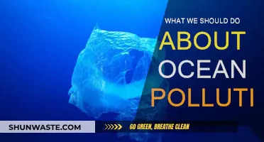 Ocean Pollution: What Action Should We Take?