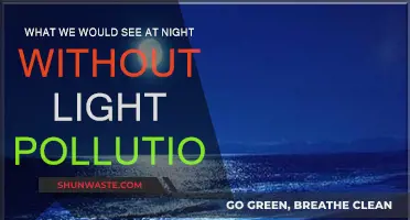 The Night Sky: Unveiling the Universe Beyond Light Pollution