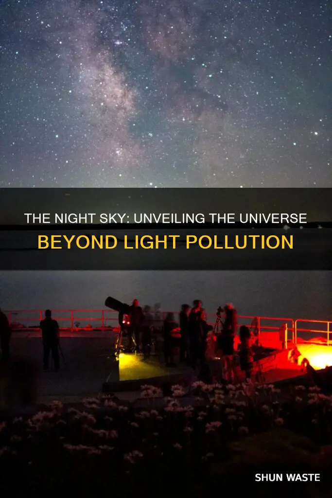what we would see at night without light pollution