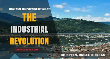 Industrial Revolution's Dark Legacy: Pollution's Rise