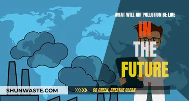 Air Pollution: Our Future Forecast