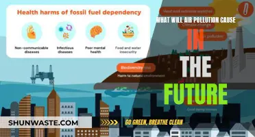 The Future's Air: A Looming Crisis