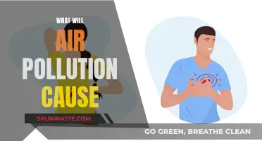 Air Pollution: A Slow Poisoning of Our Planet