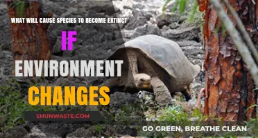 Environmental Shifts: Key Factors Driving Species Extinction in Changing Ecosystems