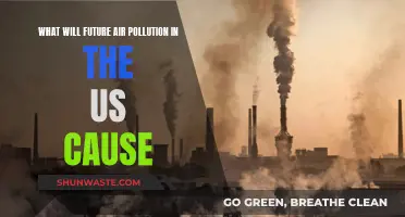 Air Pollution's Future Impact on the US