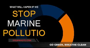 A Brighter Future: Stopping Marine Pollution