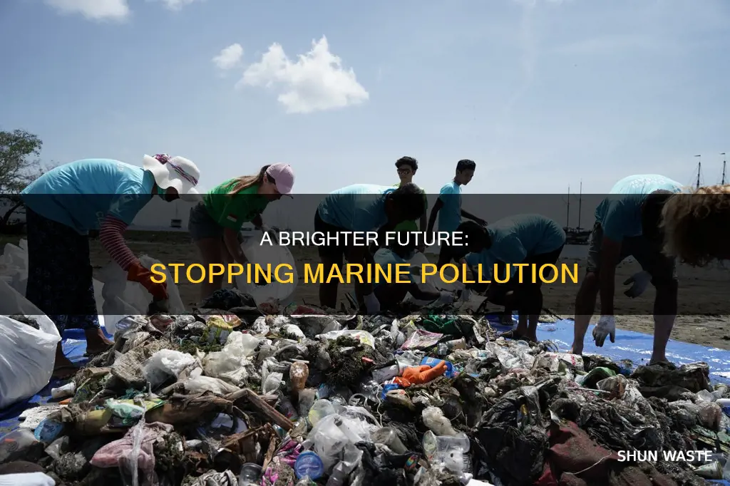 what will hapen if we stop marine pollution