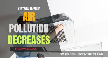 Breathing Easy: A World with Less Air Pollution
