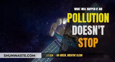 Air Pollution: Our Future at Stake