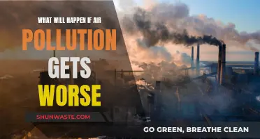 The Dark Future: Air Pollution's Deadly Impact